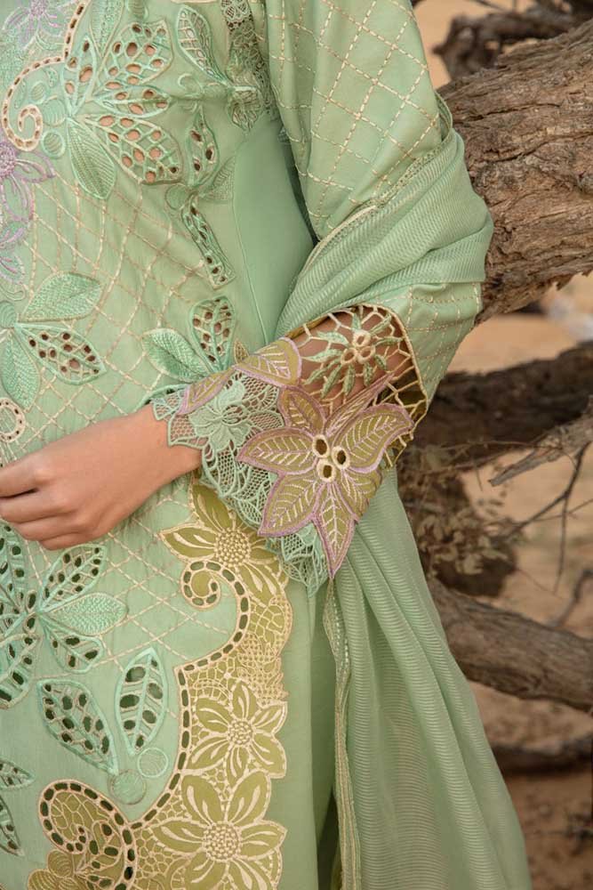Rang Rasiya women new dress design original brand empires collection buy Lawn Dresses Online Pakistan best clothing brand girls latest 2025 fashion eid festive